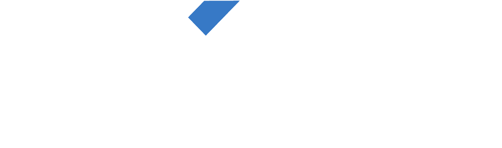 Exon ICT Group